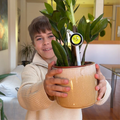 Plantiemoji Plant Magic Wand