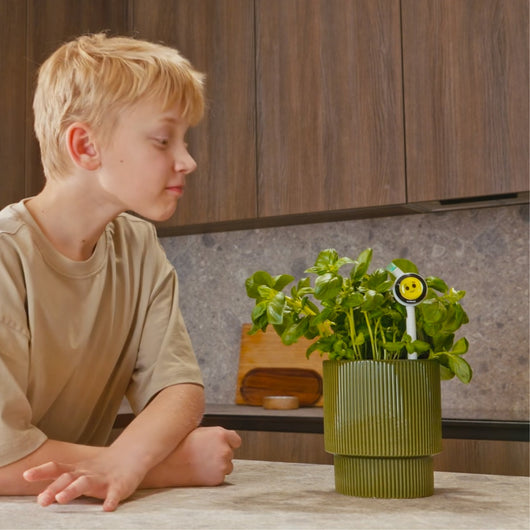 Plantiemoji Plant Magic Wand