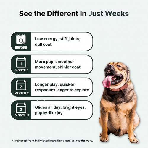NAD+ Anti-Aging Precursor Powder