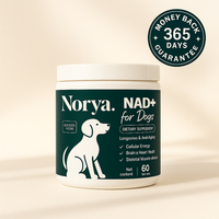 NAD+ Anti-Aging Precursor Powder