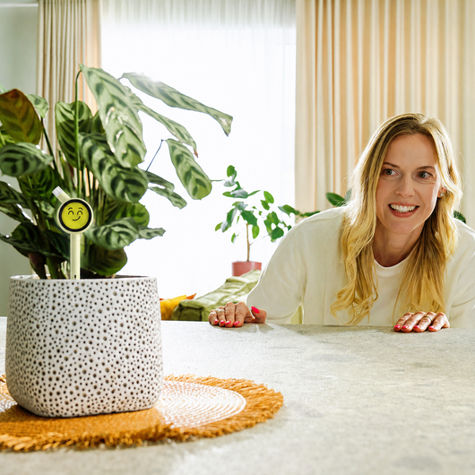 Plantiemoji Plant Magic Wand