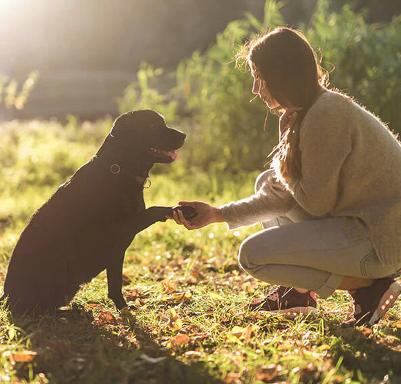 Feature product image