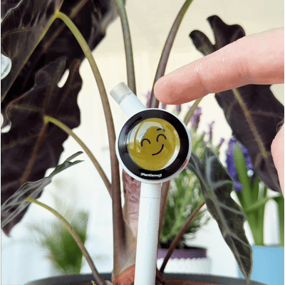 Plantiemoji Plant Magic Wand