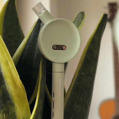 Plantiemoji Plant Magic Wand